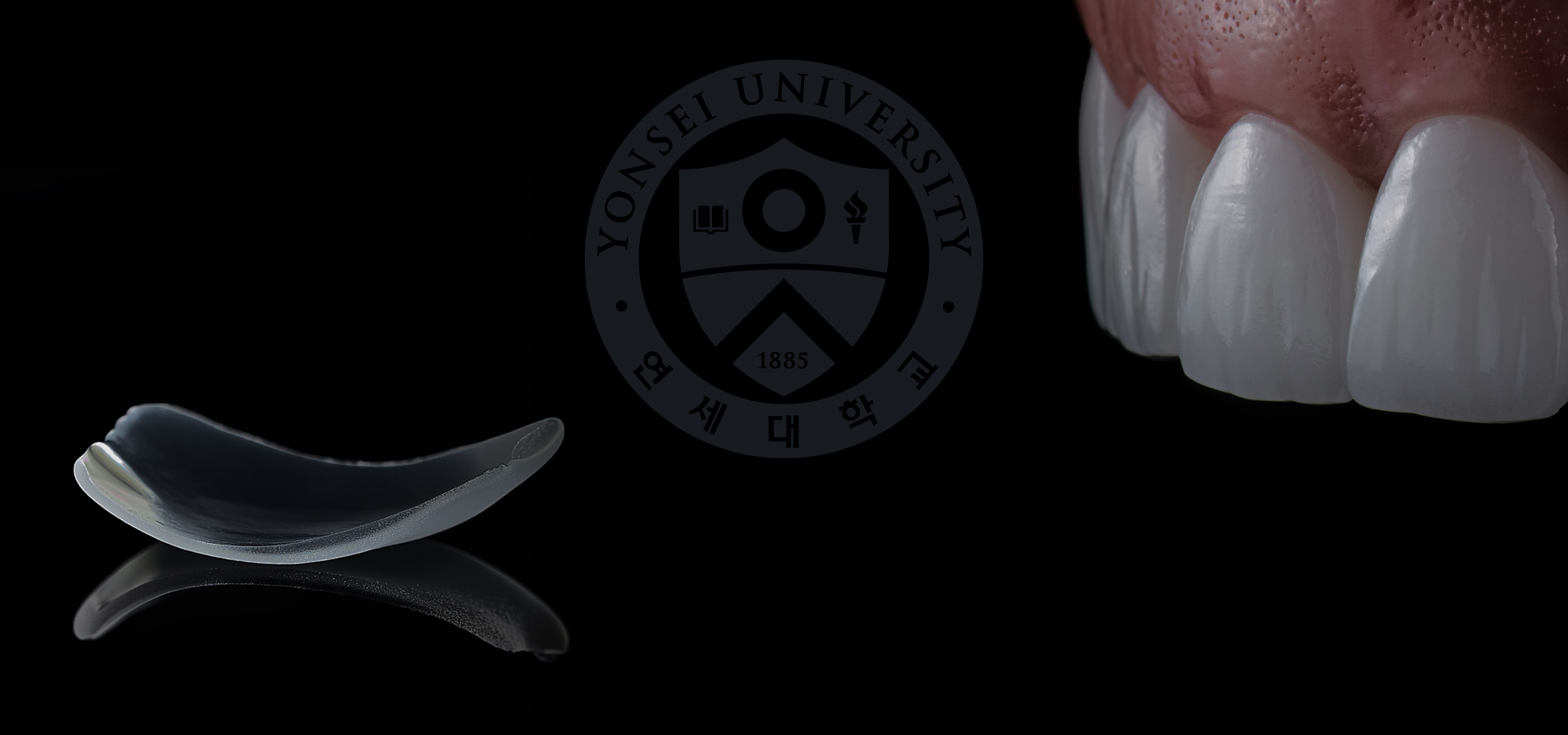 Main Banner 04